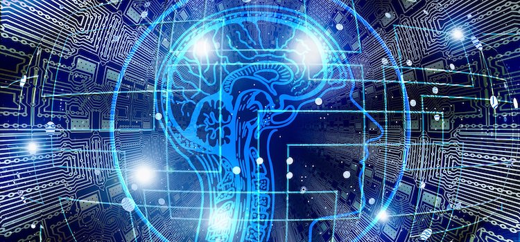 A “Grande Sociedade” e a inteligência coletiva